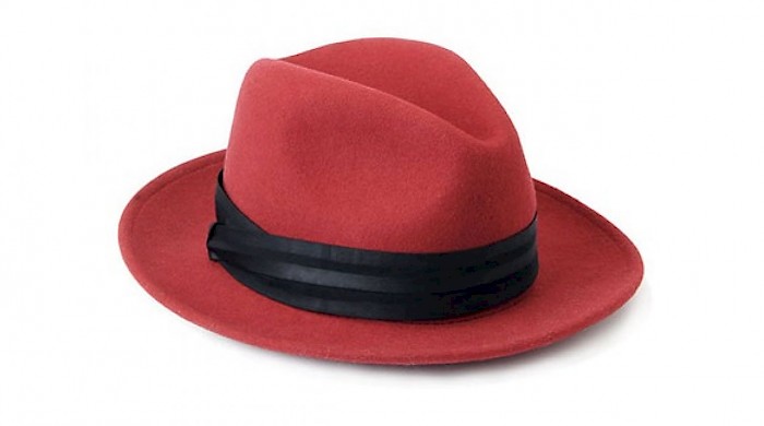 Red Hat Advanced Business Partnerek lettünk